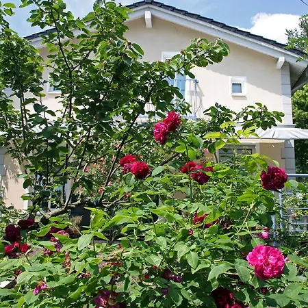 Apartman Apartmenthaus Potsdam-quartett Potsdam